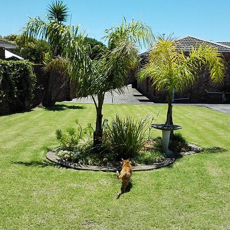 Humewood Home Stay Port Elizabeth Exteriör bild